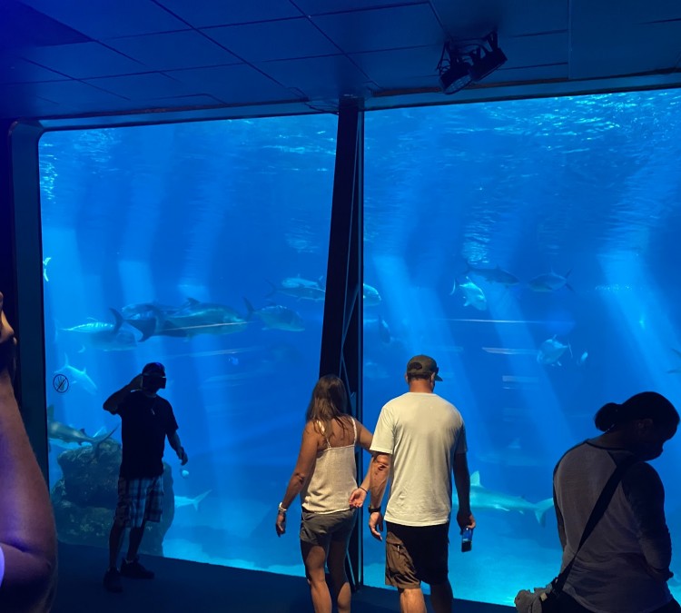 maui-ocean-center-the-aquarium-of-hawaii-photo